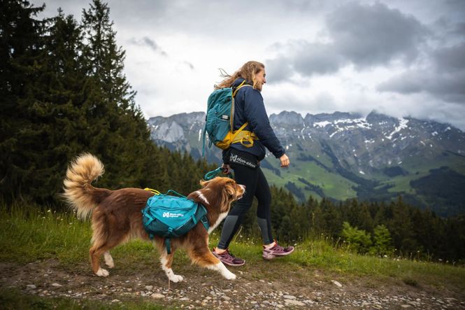Hovedbilde Trail quest dog backpack. L